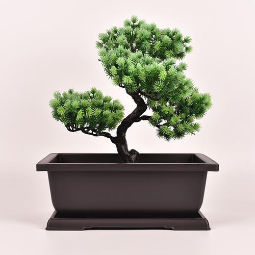 仿紫砂花盆 方形美学与多肉盆栽的理想之选