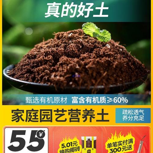 夏杜鹃盆景 品种、养护与品牌选购指南